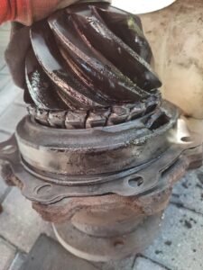 WhatsApp Image 2025 10 14 at 20.59.58 1