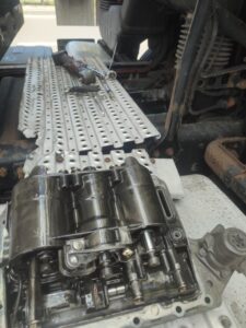 WhatsApp Image 2025 10 14 at 20.59.58