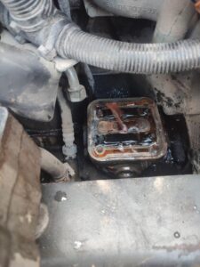 WhatsApp Image 2025 10 14 at 20.59.58 5