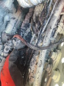 WhatsApp Image 2025 10 14 at 20.59.59 13